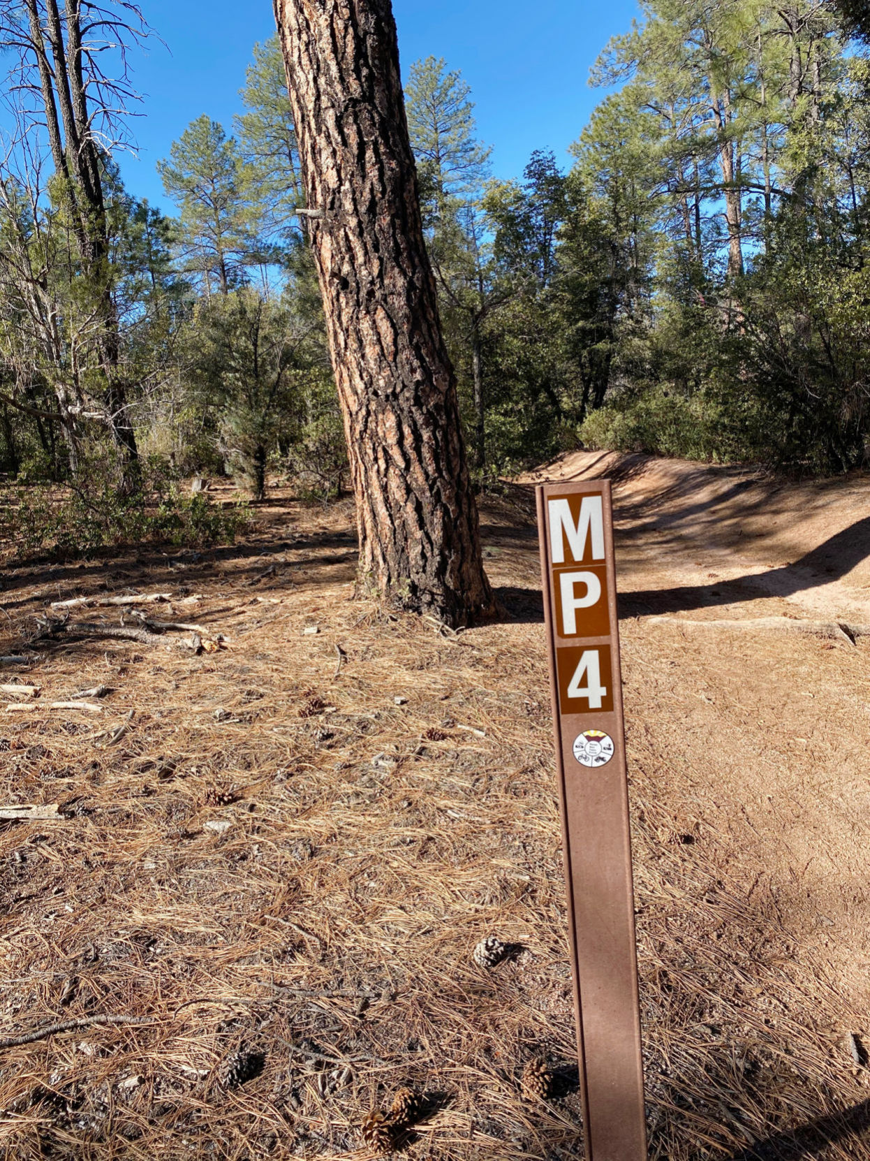 MP sign on the Monument Peak Loop trail
